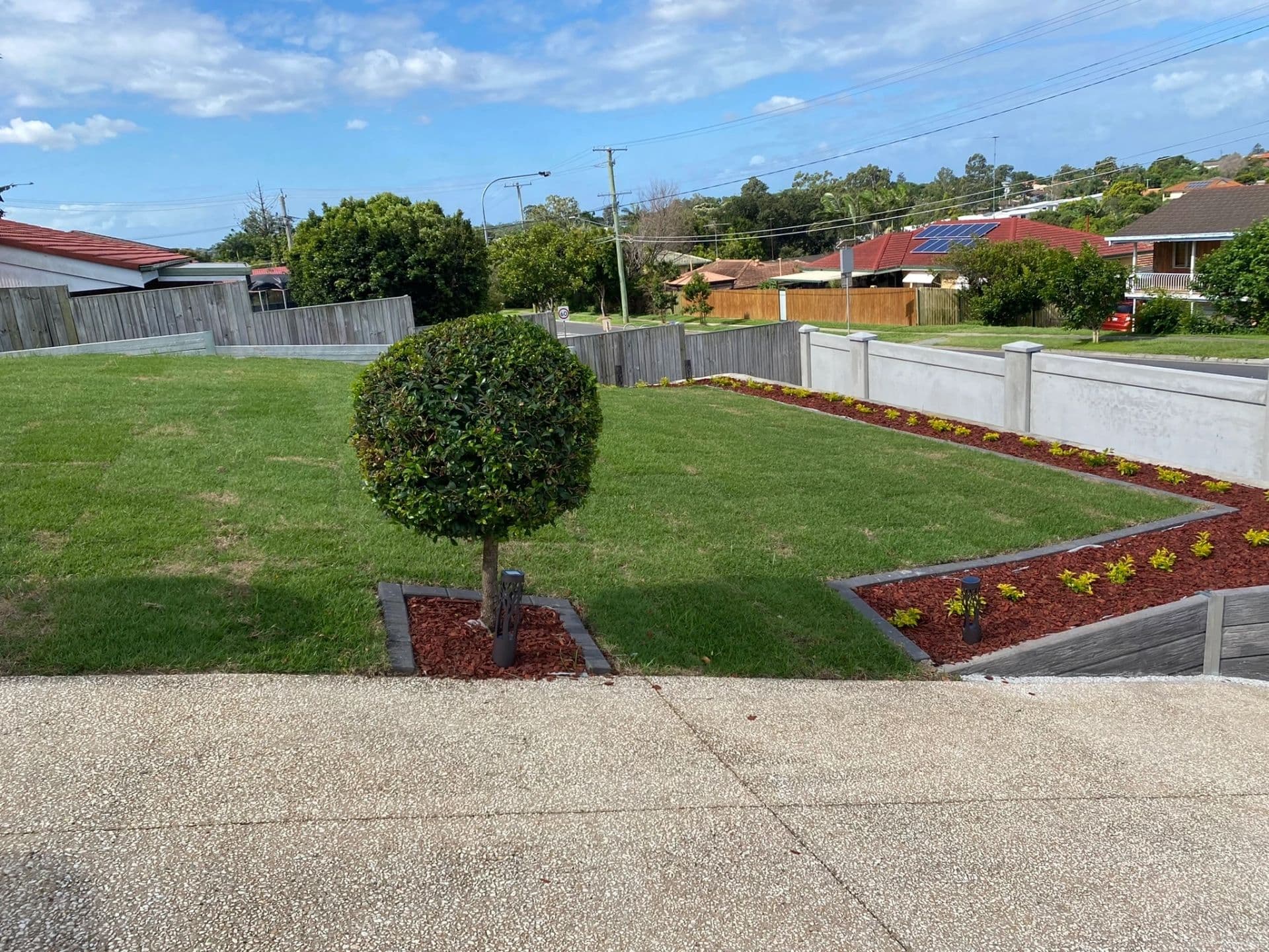 Front yard landscaping with a topiary tree, garden beds and new turf on a sloping block